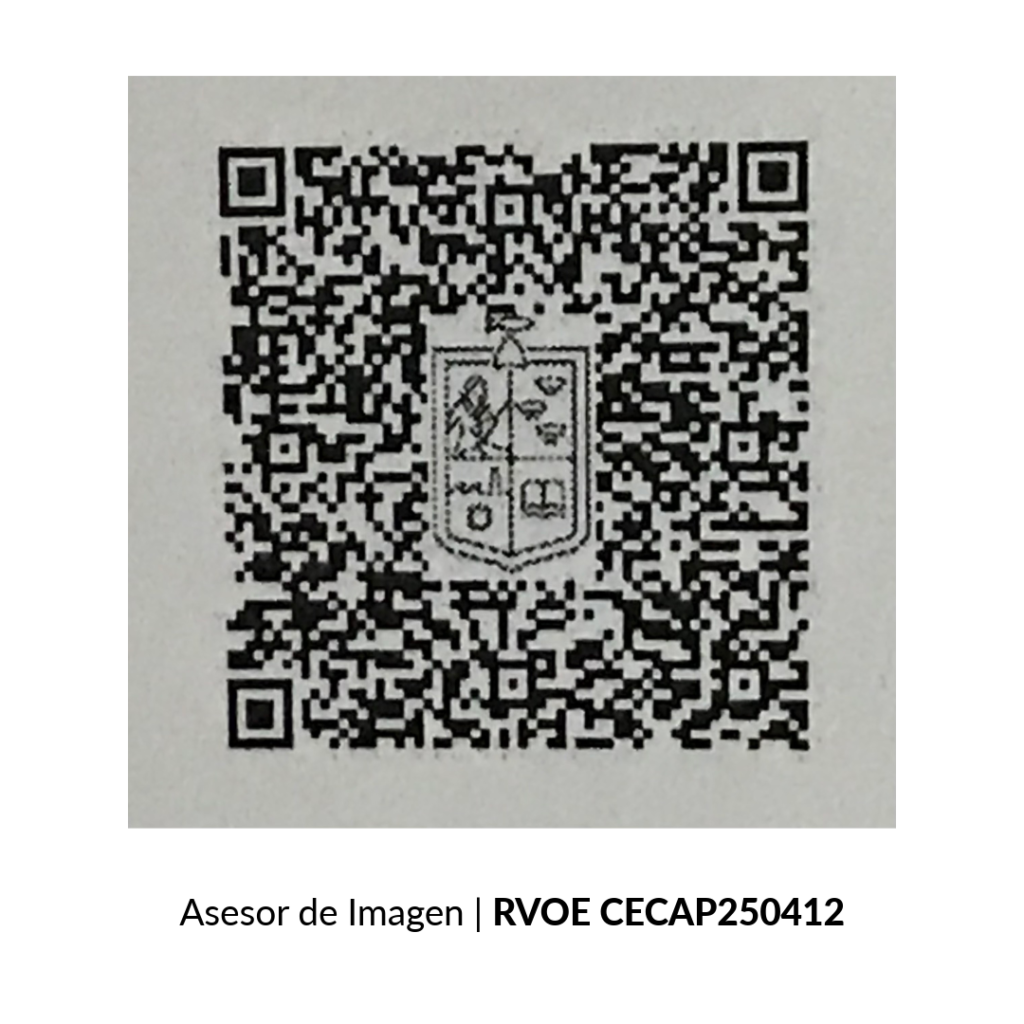 RVOE Asesor de Imagen Dimensión Educativa Zamora DimE