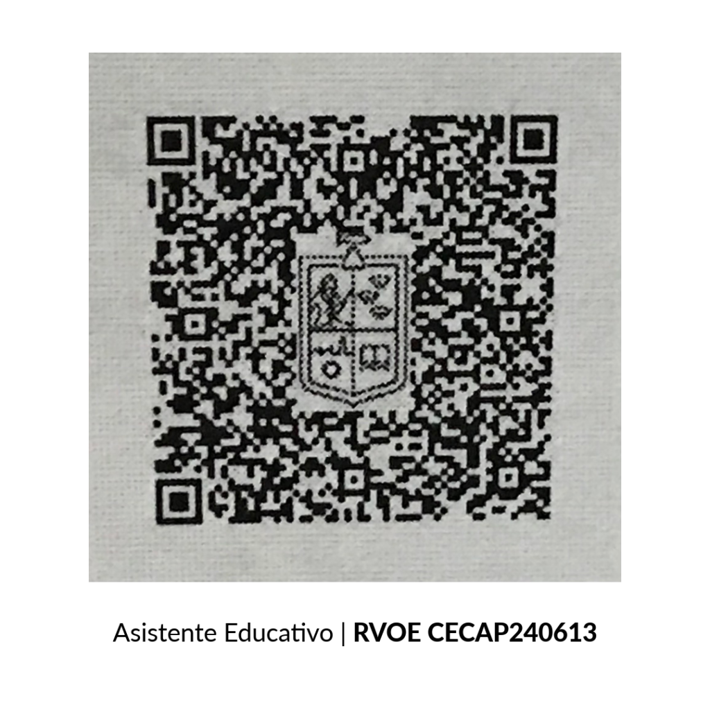 RVOE Asistente Educativo (matutino escolarizado 1 año) Dimensión Educativa Zamora DimE